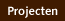Projecten